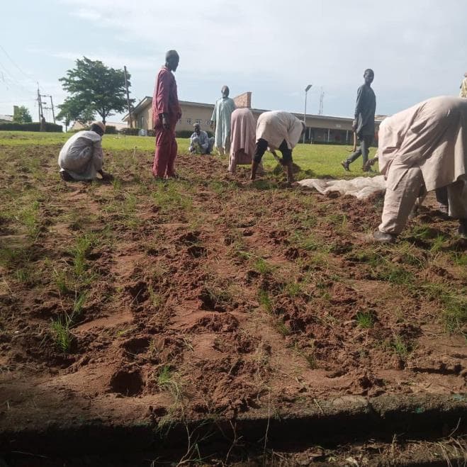 Community members working together at a documented TRF planting site